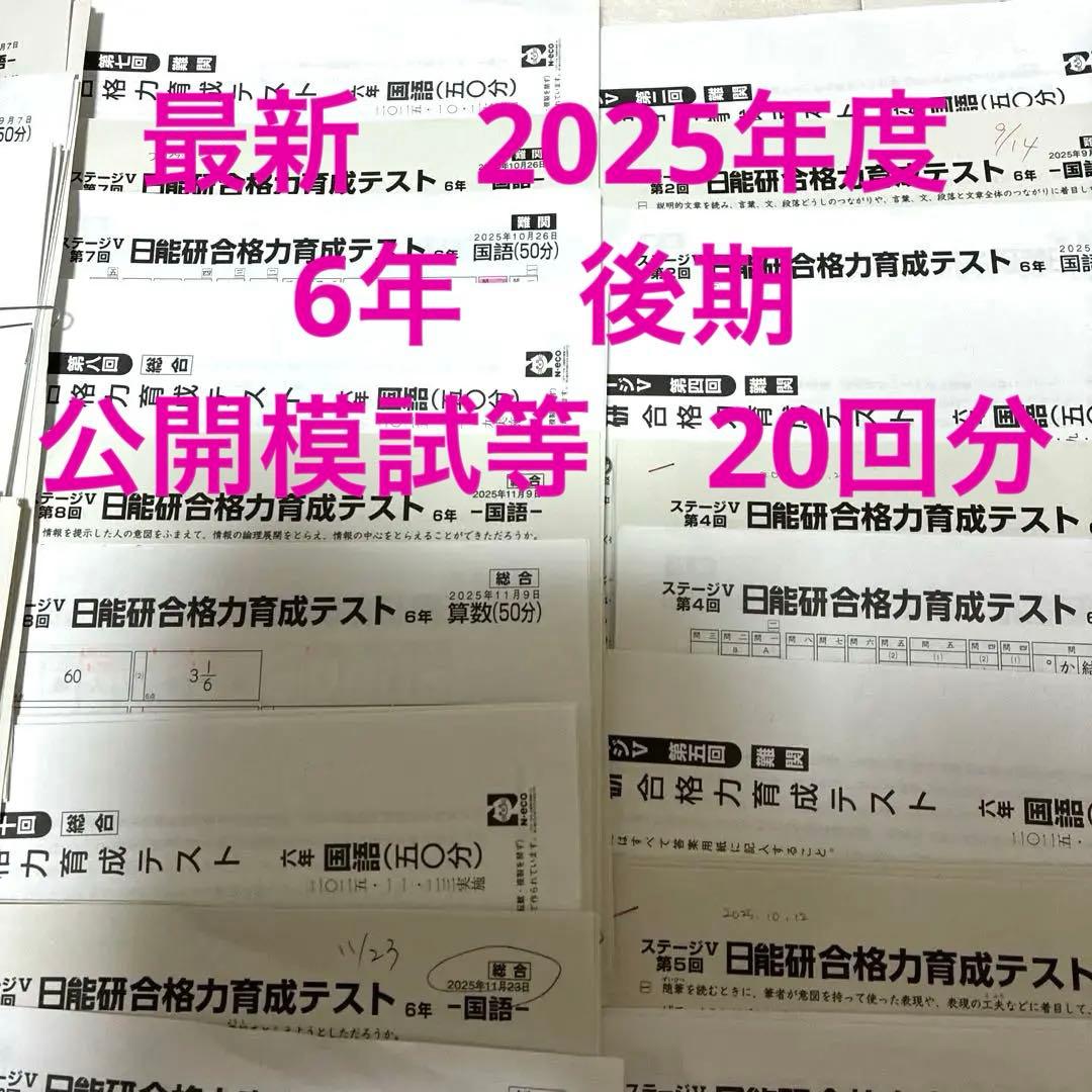 【最新2025年】日能研6年 後期　20回分　公開模試　育成テスト　入試実践模試 最新版】2025年日能研6年 後期 合格力育成テスト 合格力実践テスト