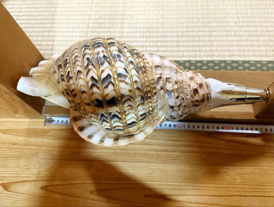 a*0様 希少特大肉厚45㎝修験道法螺貝　山伏　密教　魔除け　熊よけ❣️ほら貝ホ
