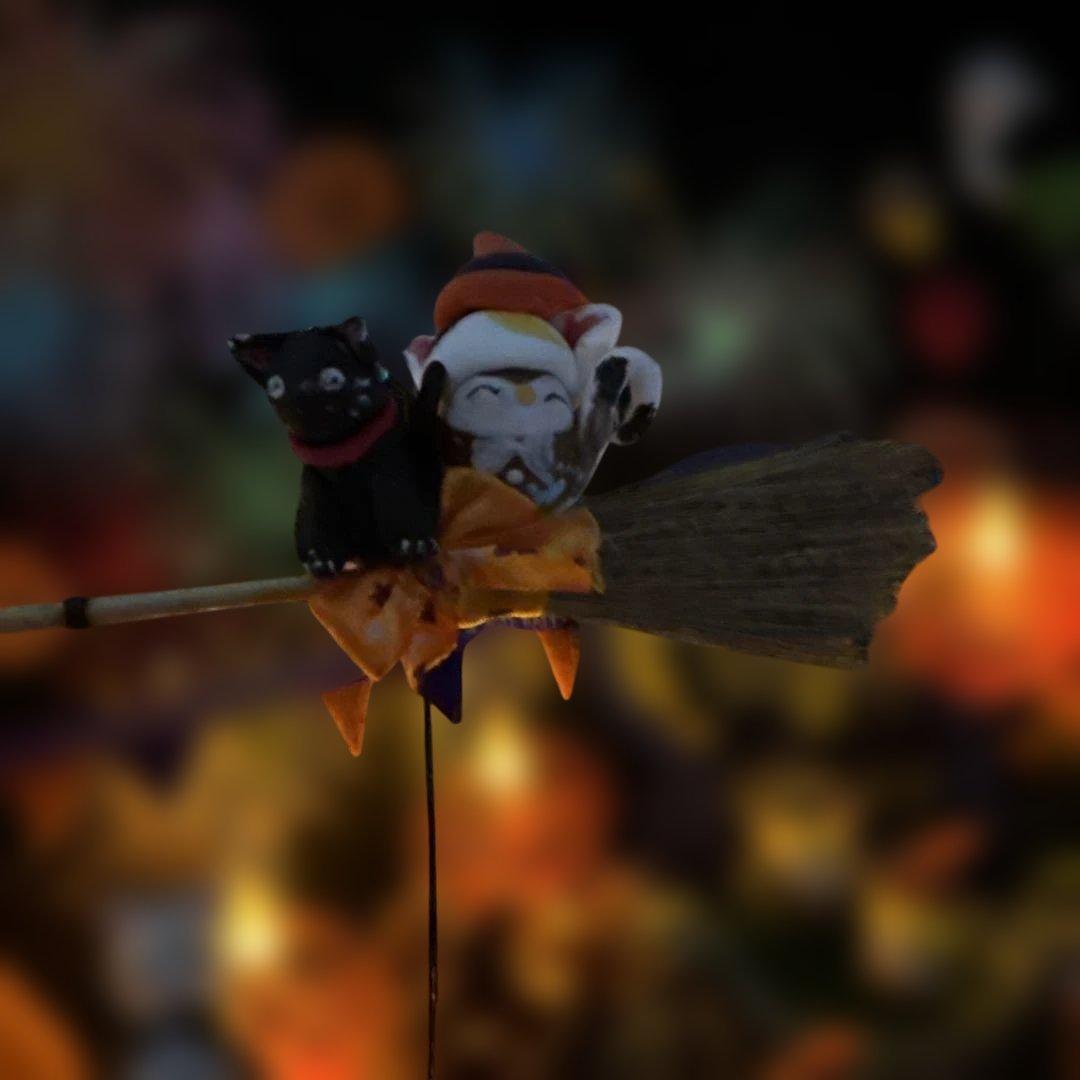 どんぐりアート♡お月見＆Halloweenねこ帽子BIGオブジェ♡ インテリア