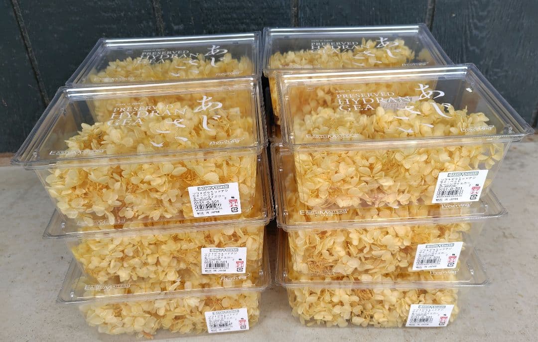 EARTH MATTERS あじさい　モーニングイエロー12個セット EARTH MATTERS あじさい モーニングイエロー12個セット EARTH MATTERS