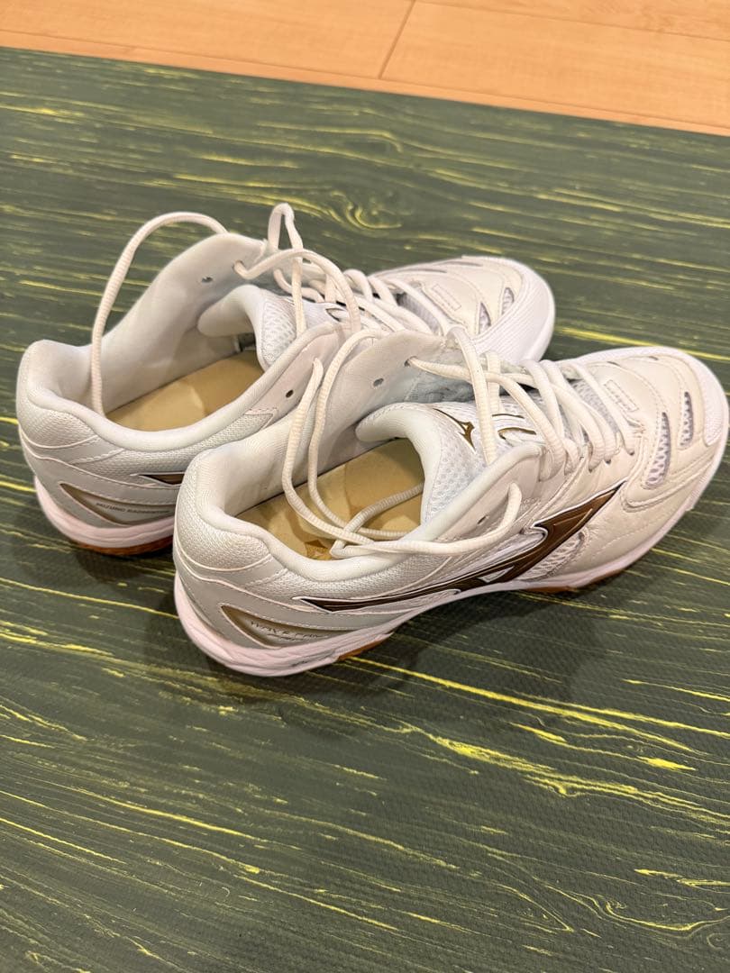 ミズノ ウエーブファングPro 26.5cm