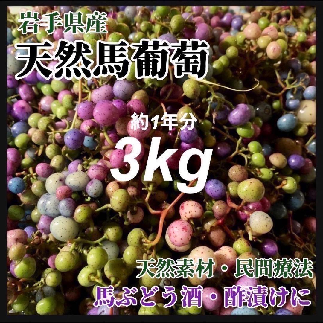 【大容量】馬ぶどう250g×12袋　1年分3kg うまぶどう　薬膳　民間療法 sd1_a87f05d460428513678f600f09