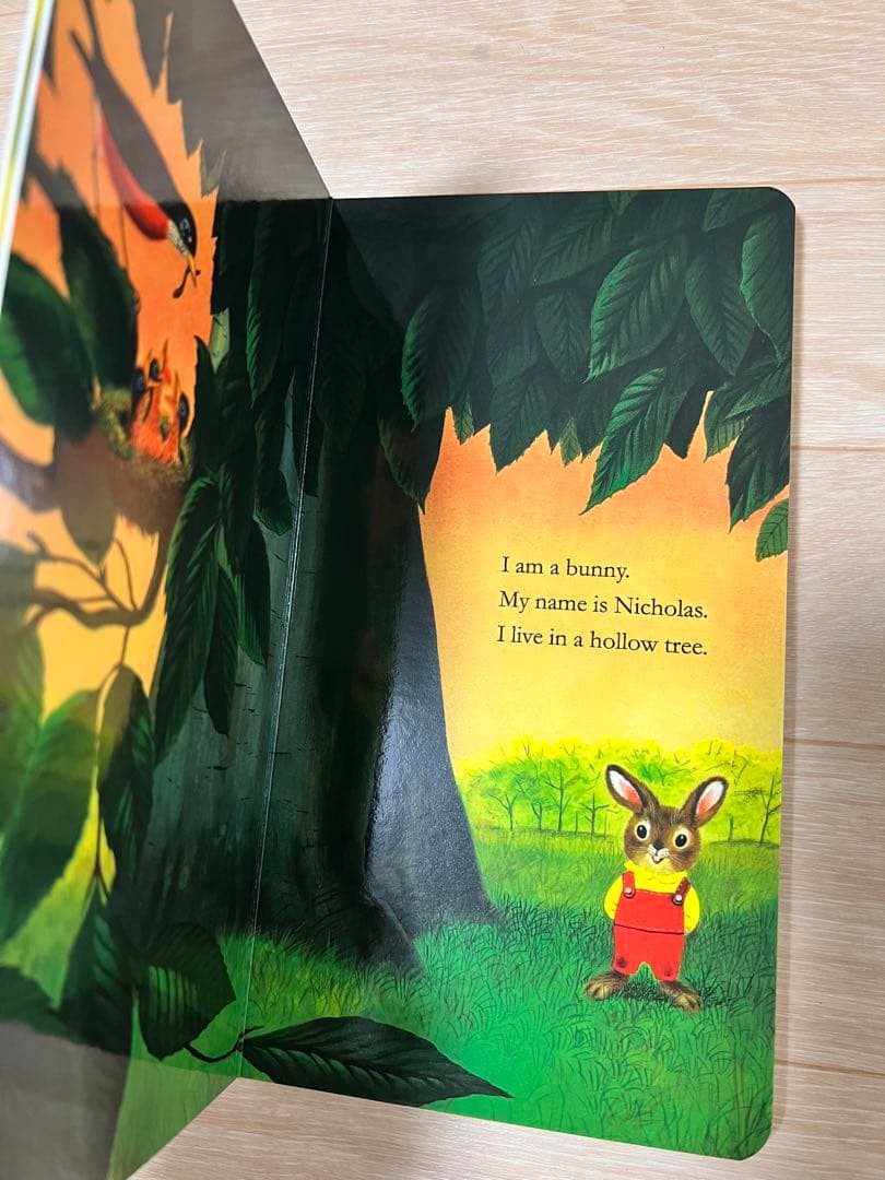 Eric Carle（エリック・カール）ボードブック11冊セット幼児向け知育絵本