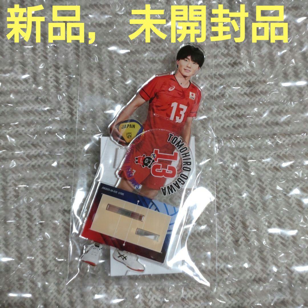バレーボール日本代表男子小川智大ネーションズリーグ2025BIGアクリル