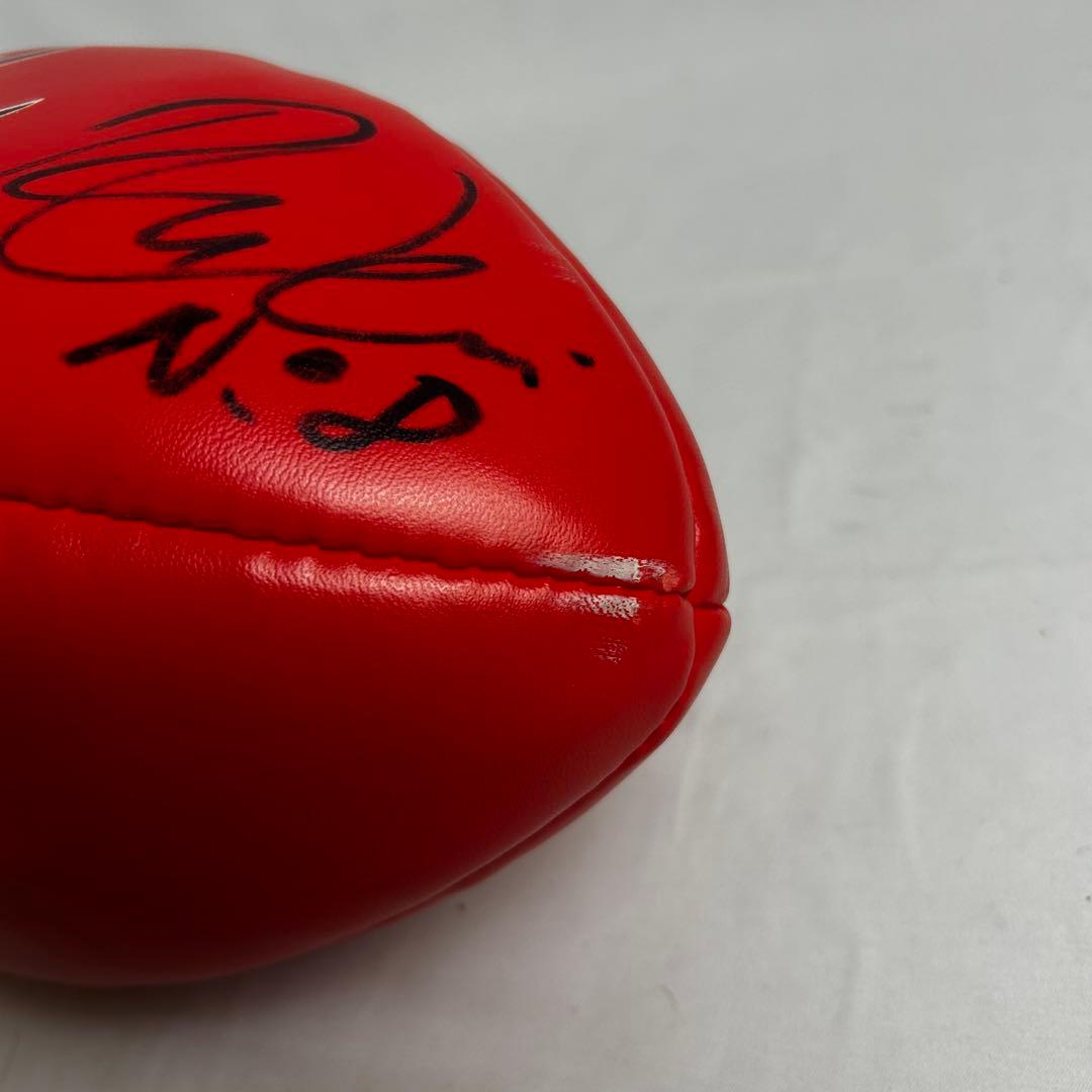 直筆サイン入り SANYO WILD KNIGHTS ラグビーボール 旗 選手直筆サイン