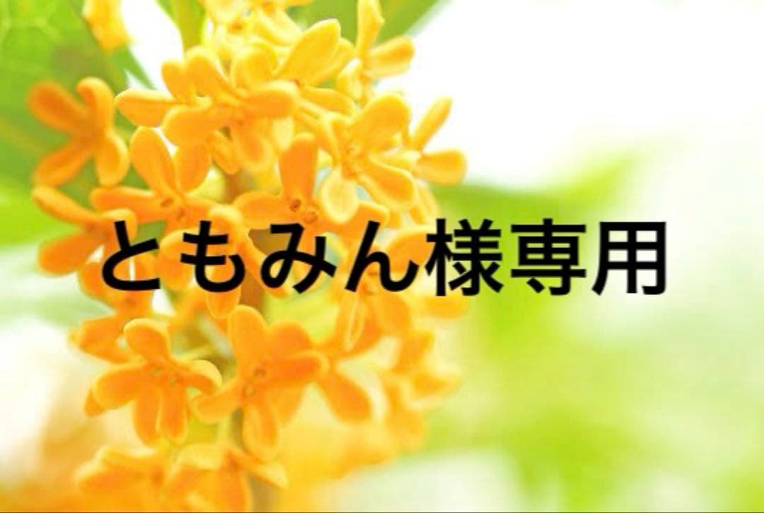 ともみんです　　　ルイヴィトン　キーホルダー 正規紙袋無料】ルイヴィトン キーホルダー キーリング レディース