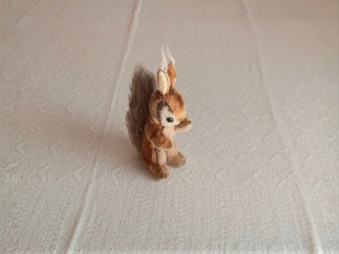 * vintage squirrel ♡ 可愛い おねだりリスさん Focus MIYOTA】 Photo by Miharu 「可愛いリスさん」 【撮影者コメント