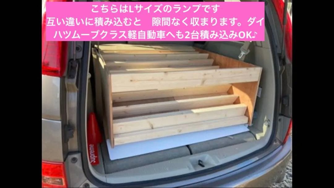 スケボー #ミニランプ 組み立てキット2台分 Sサイズpro skatepia製