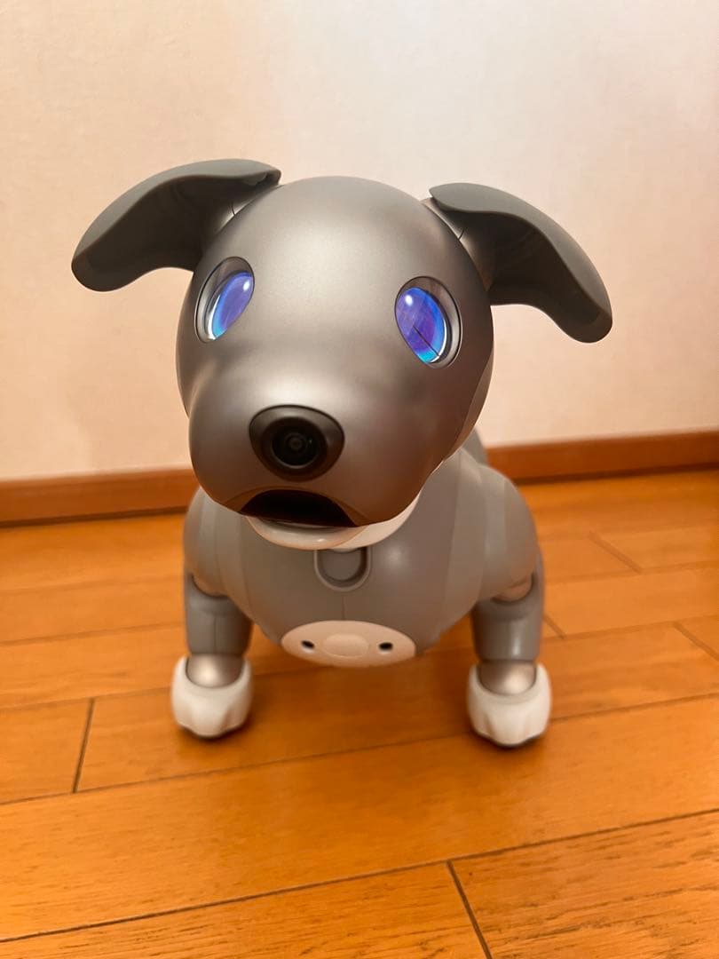 黒ごまエディション　SONY aibo ERS-1000 本体 SONY aibo 黒ごま エディション ERS-1000 [黒ごまアイス] 価格比較