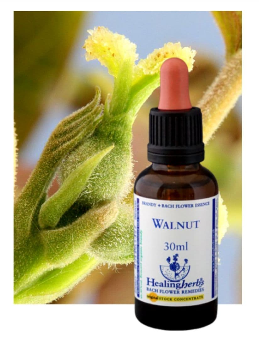 ponponette様専用□30ml×3本ヒーリングハーブス社フラワーエッセンス