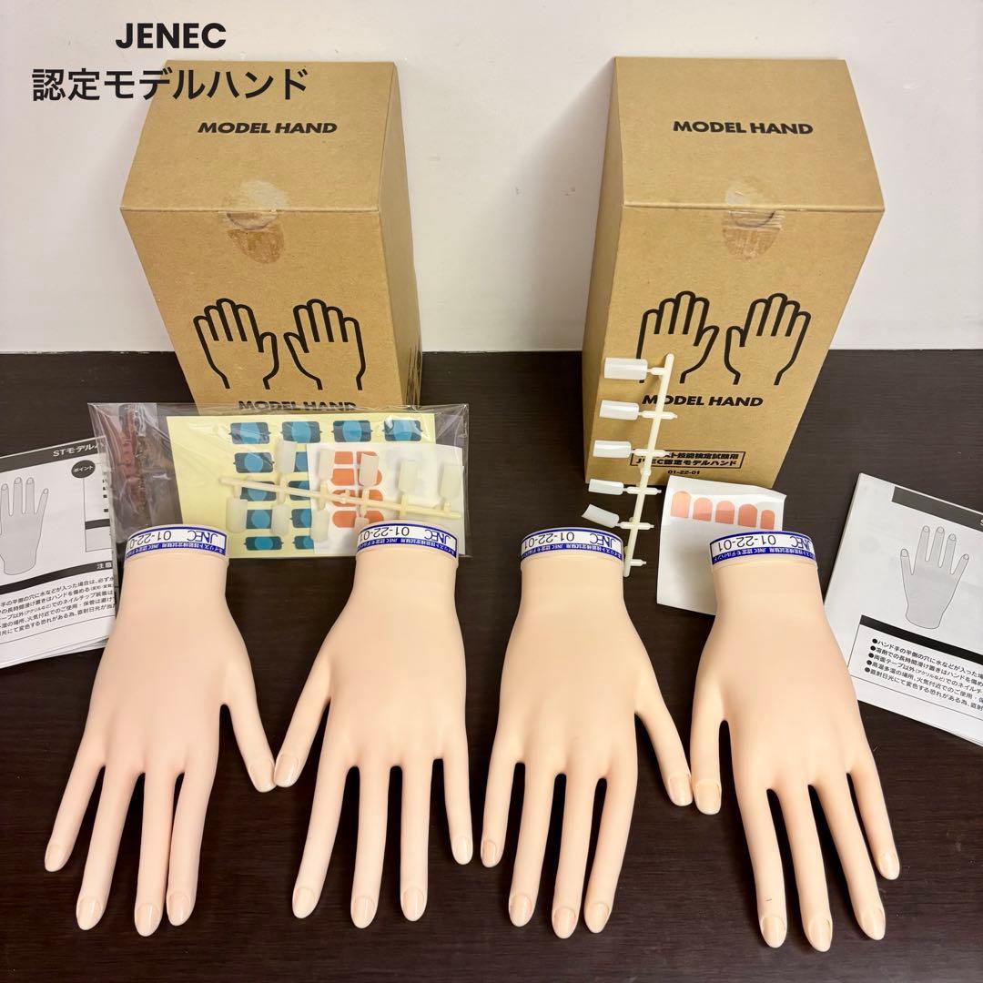 JENEC認定モデルハンド 2個セット ネイルアート練習用 検定用 チップ