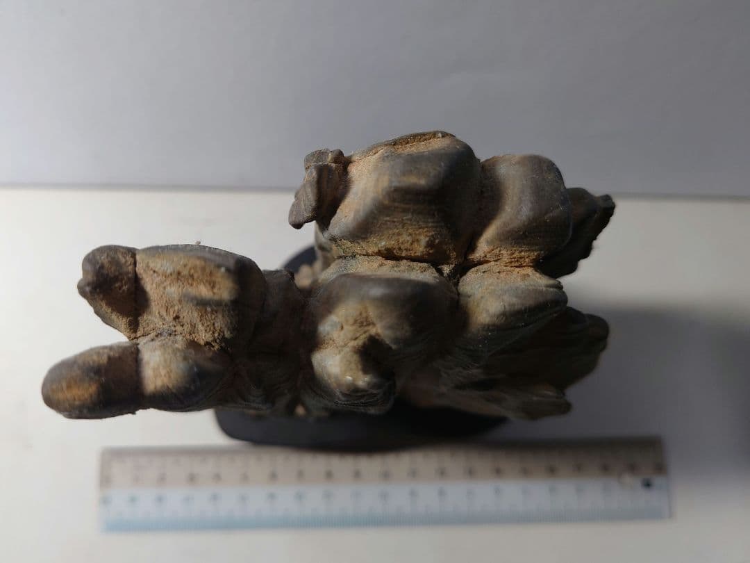 長者抹香石 塔連山 水石 鑑賞石 - メルカリ