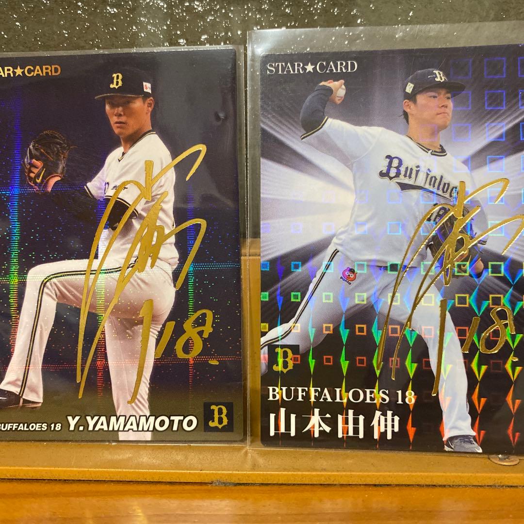 サッカー カラーマッチ 75シリ ハーランド panini haaland