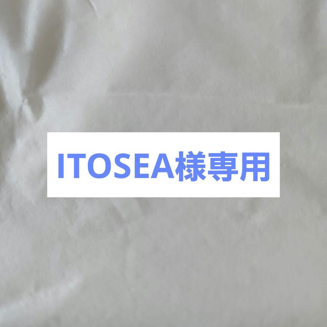 ITOSEAページ Vネックペプラムデザインレースブラウス | titivate