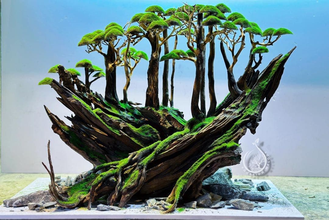 60cm水槽用レイアウト(流木、水草) - メルカリ