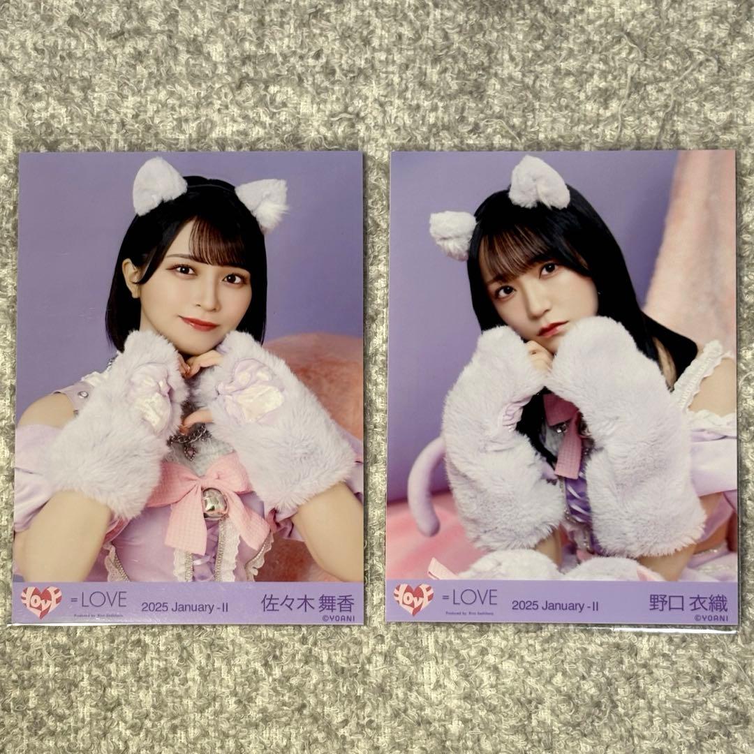 イコラブ 佐々木舞香 野口衣織 生写真 猫 7周年 猫衣装 ＝LOVE チュウ