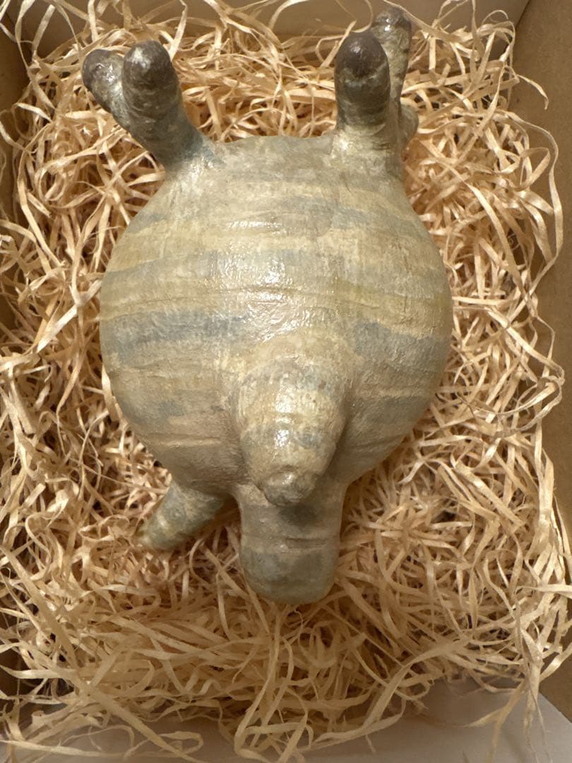グラキリスちゃん 送料込み