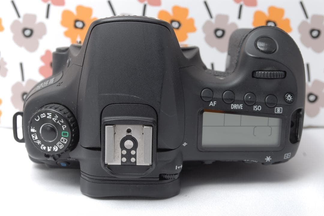 ❤Canon EOS 60D❤秋の行楽シーズンに❤スマホ転送OK❤美