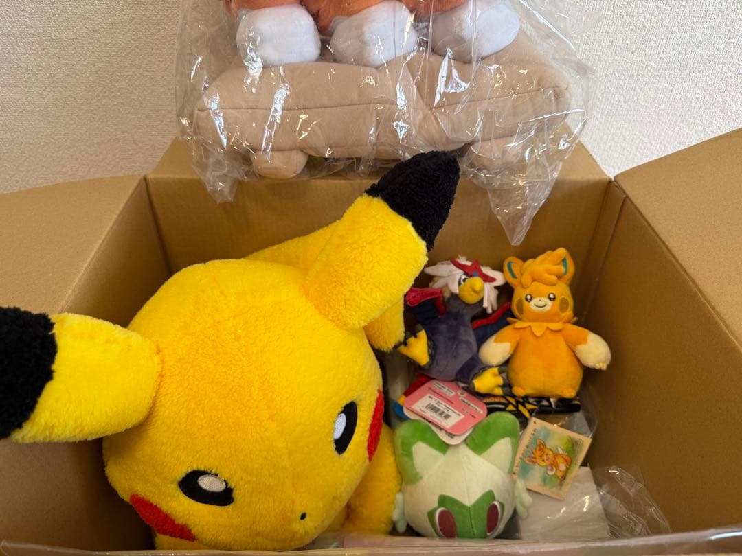 ピカピカボックス 2026 ポケモンセンターオンライン 開封済み