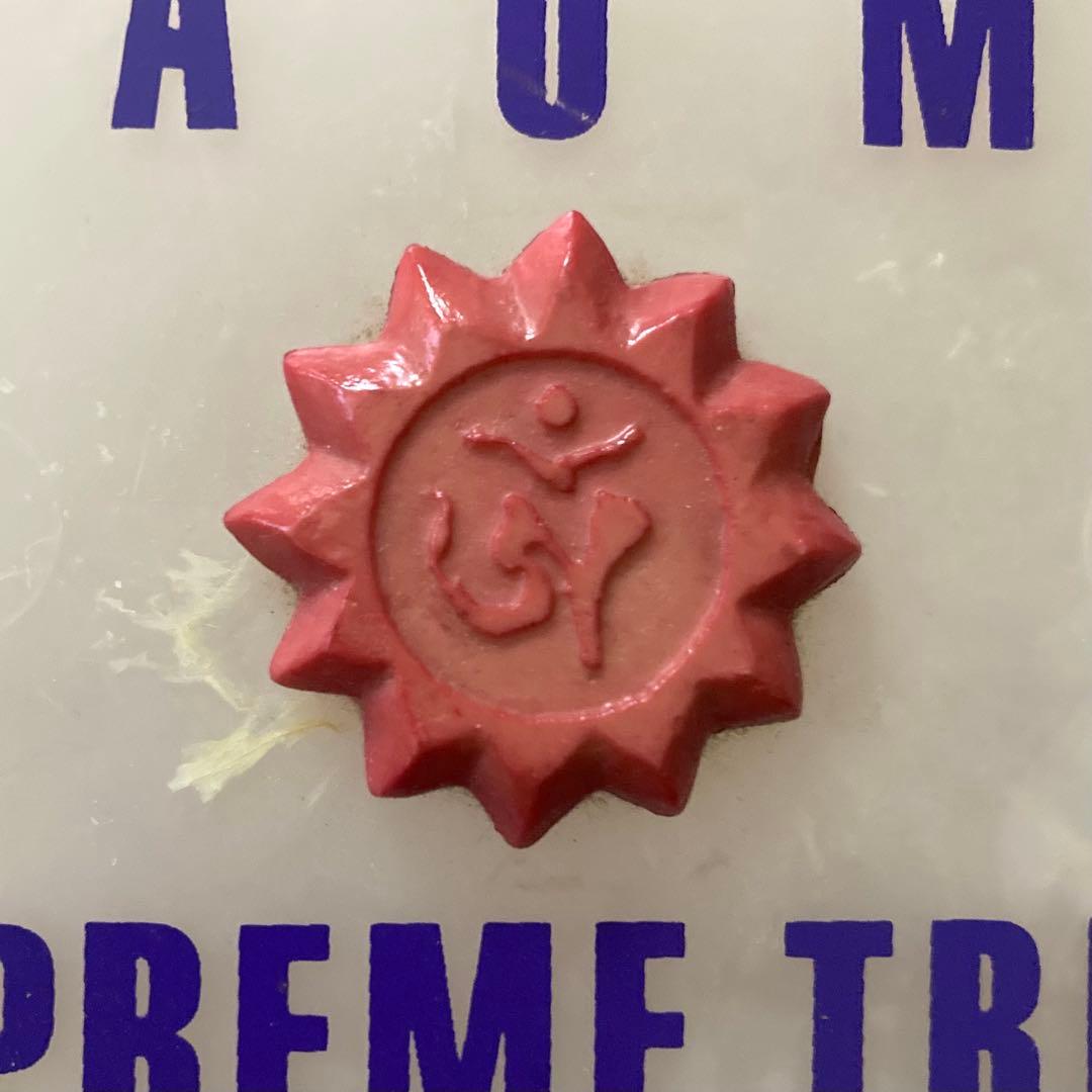 オウム真理教 当時物 プルシャ付タッパー - メルカリ