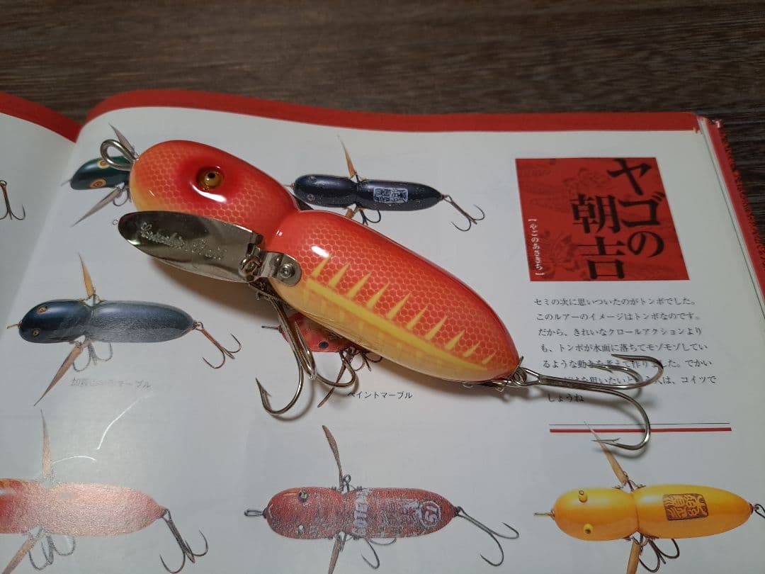 道楽 DOWLUCK ヤゴの朝吉