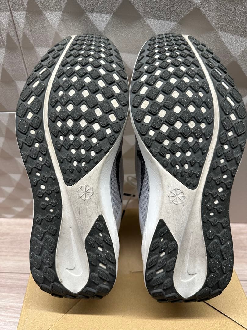 ナイキ　ペガサス41 限定カラー　27.5cm