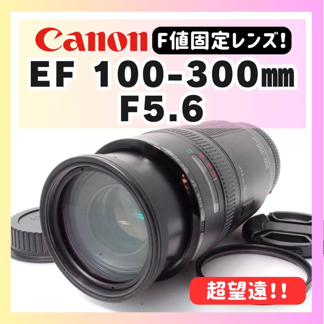 ✨F値固定✨Canon EF 100-300✨超望遠✨ズームレンズ✨スポーツ観戦