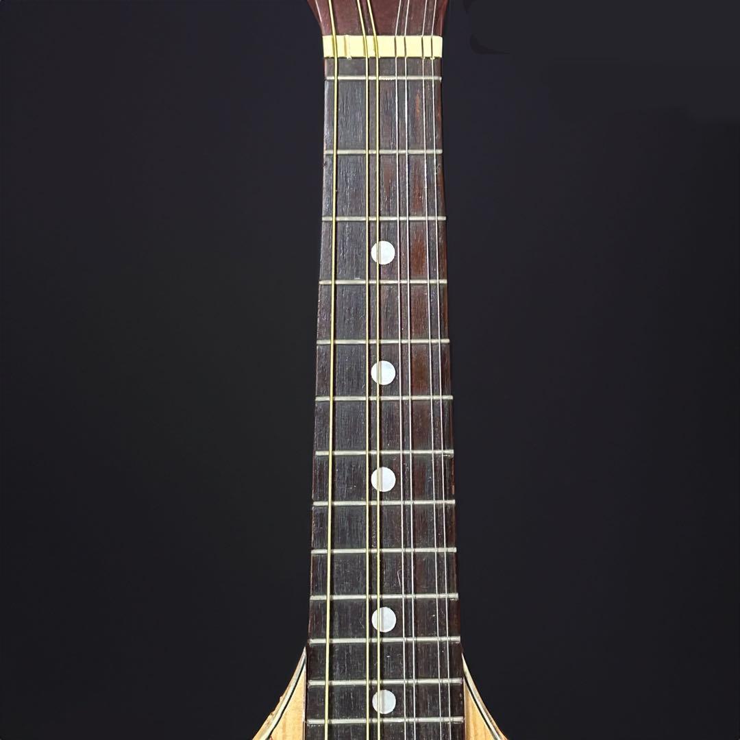 Hora Mandolin Port.1 フラット マンドリン - メルカリ