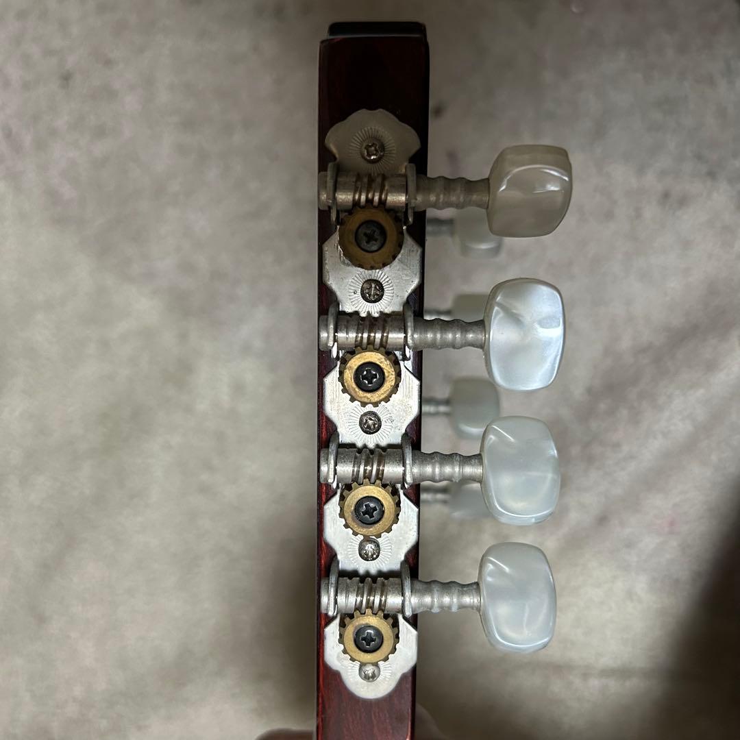 Hora Mandolin Port.1 フラット マンドリン - メルカリ