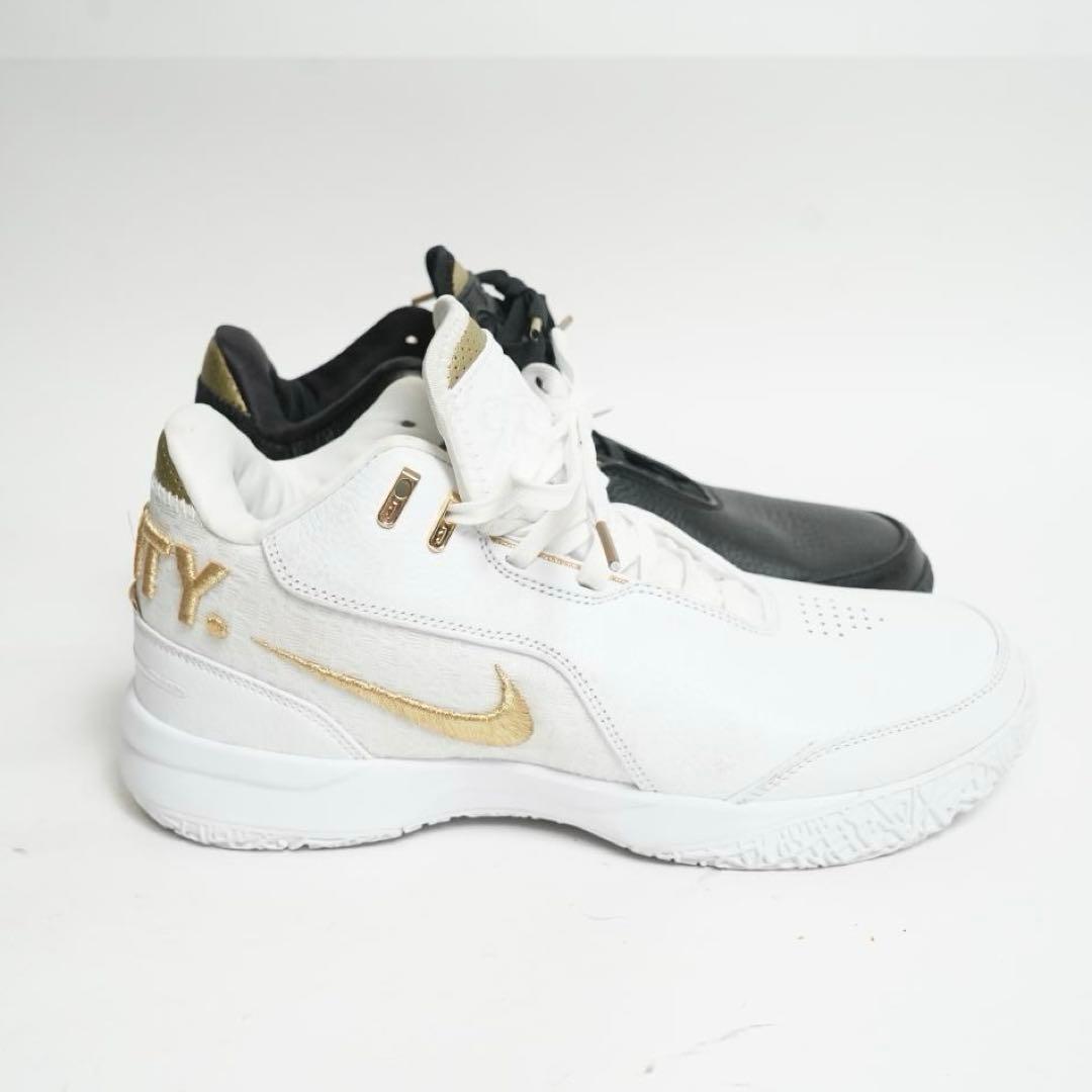 【未使用級】ナイキ レブロン NXXT GEN AMPS EP 27.5cm