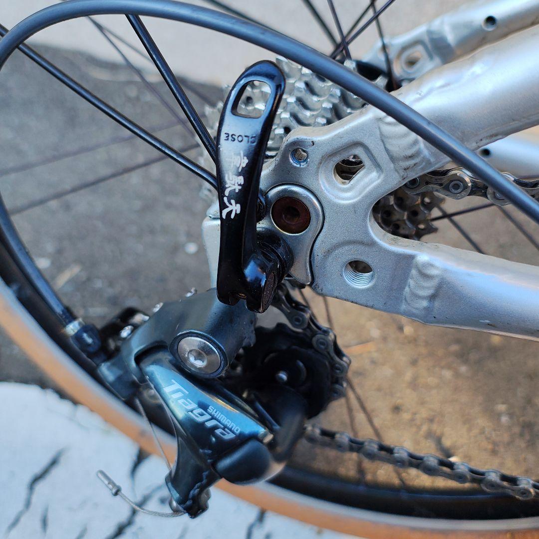 とと様専用】Dahon visc evo 2019年モデル（ブライトシルバー） DAHON