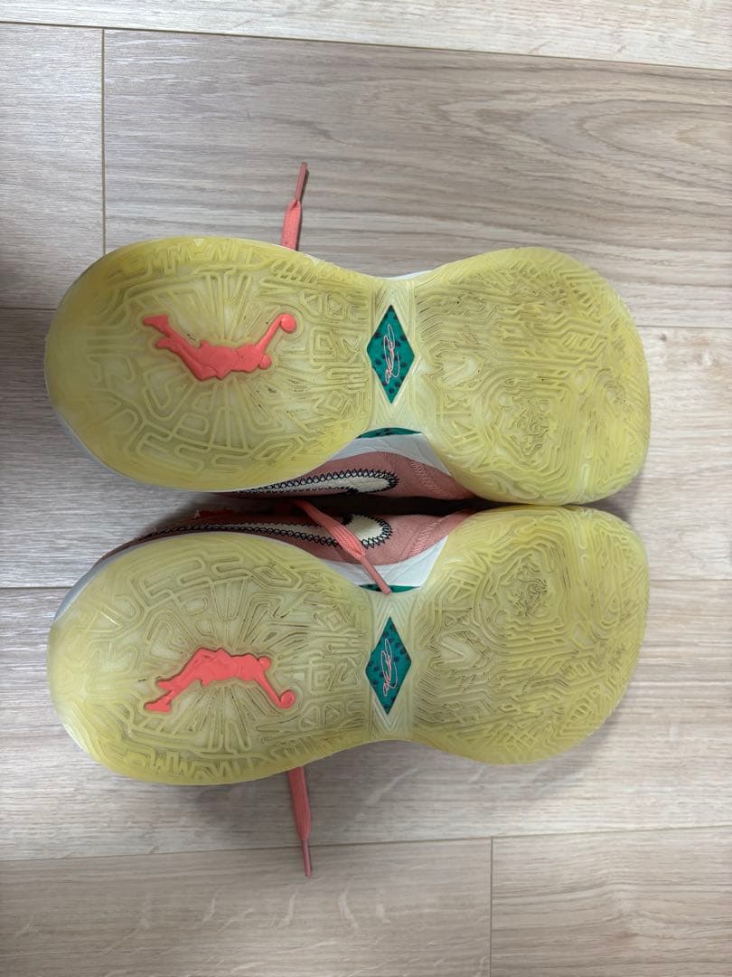 lebron 20　レブロン　28.5cm サウスビースト