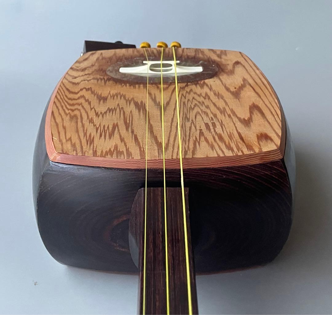 レア楽器 「サバミセン」 エレクトリック対応、撥・ハードケース付き