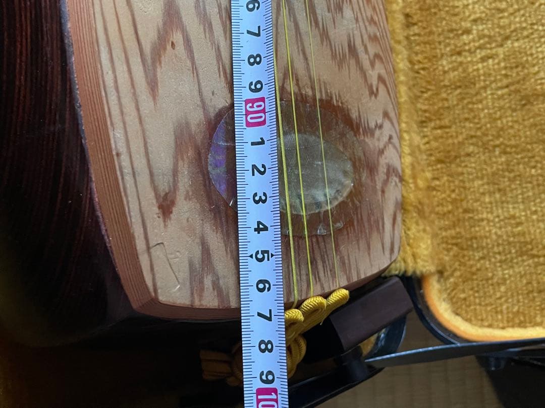 レア楽器 「サバミセン」 エレクトリック対応、撥・ハードケース付き