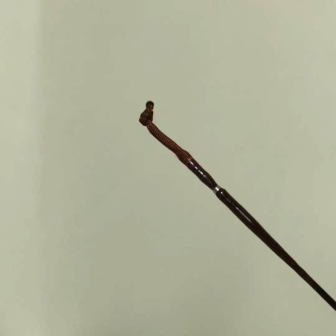 DAIWA ダイワ 天峰 硬調 11尺 へら竿 ヘラブナ - メルカリ