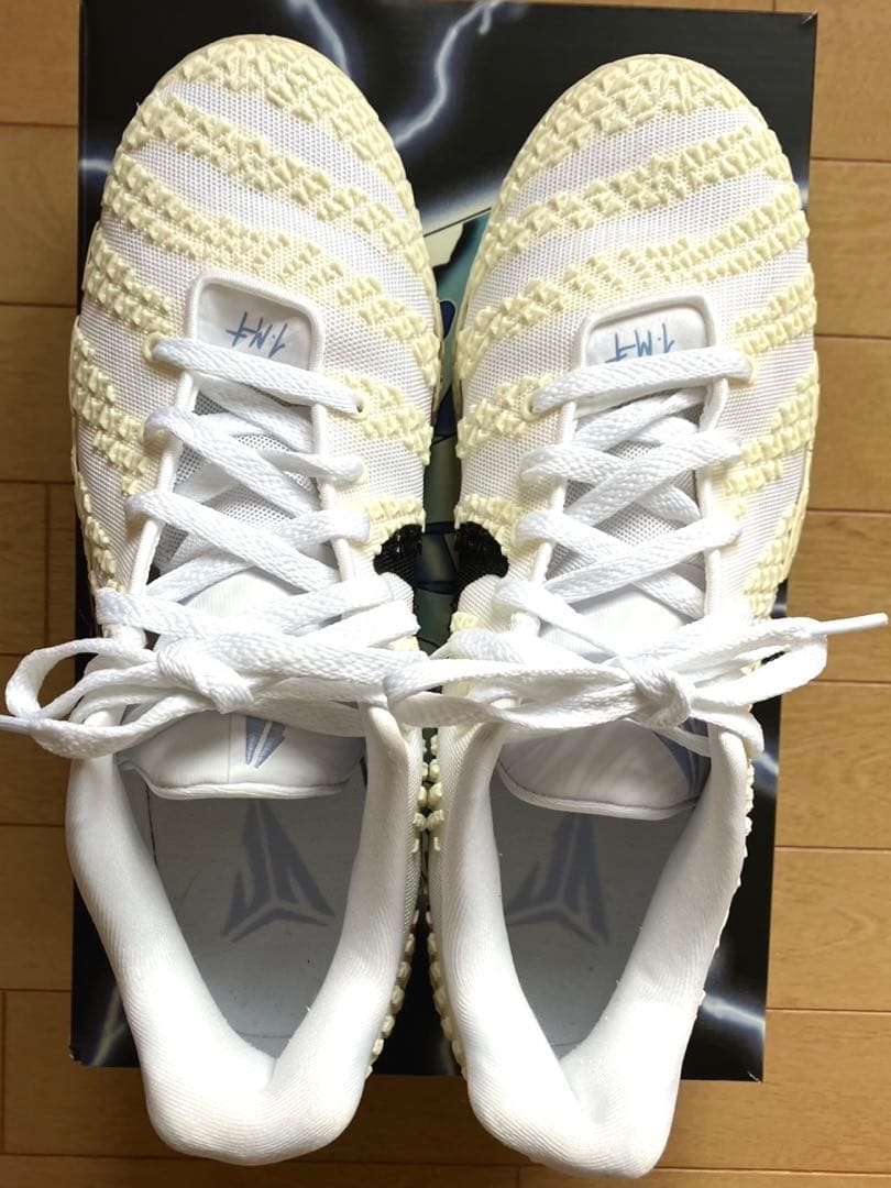 NIKE バッシュ ja3 ジャ3 \"Sail\"EP 29cm