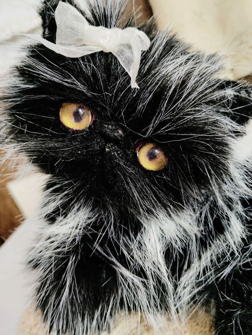 幼猫♡黒猫子猫ゴマちゃん♡アートドール♡ぬいぐるみ♡ 自在猫】 自在に可動できるリアルな黒猫の実物大アートドール 【FD