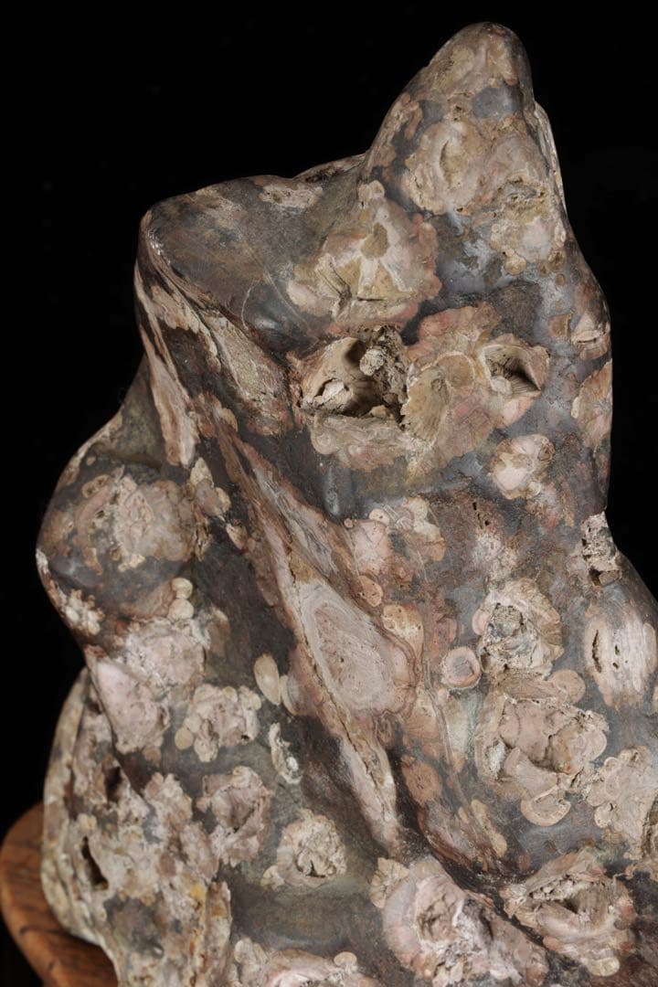 紅梅 梅花石 台付 5.7kg 鑑賞石 水石 原石 天然石 鉱石 盆石 飾石