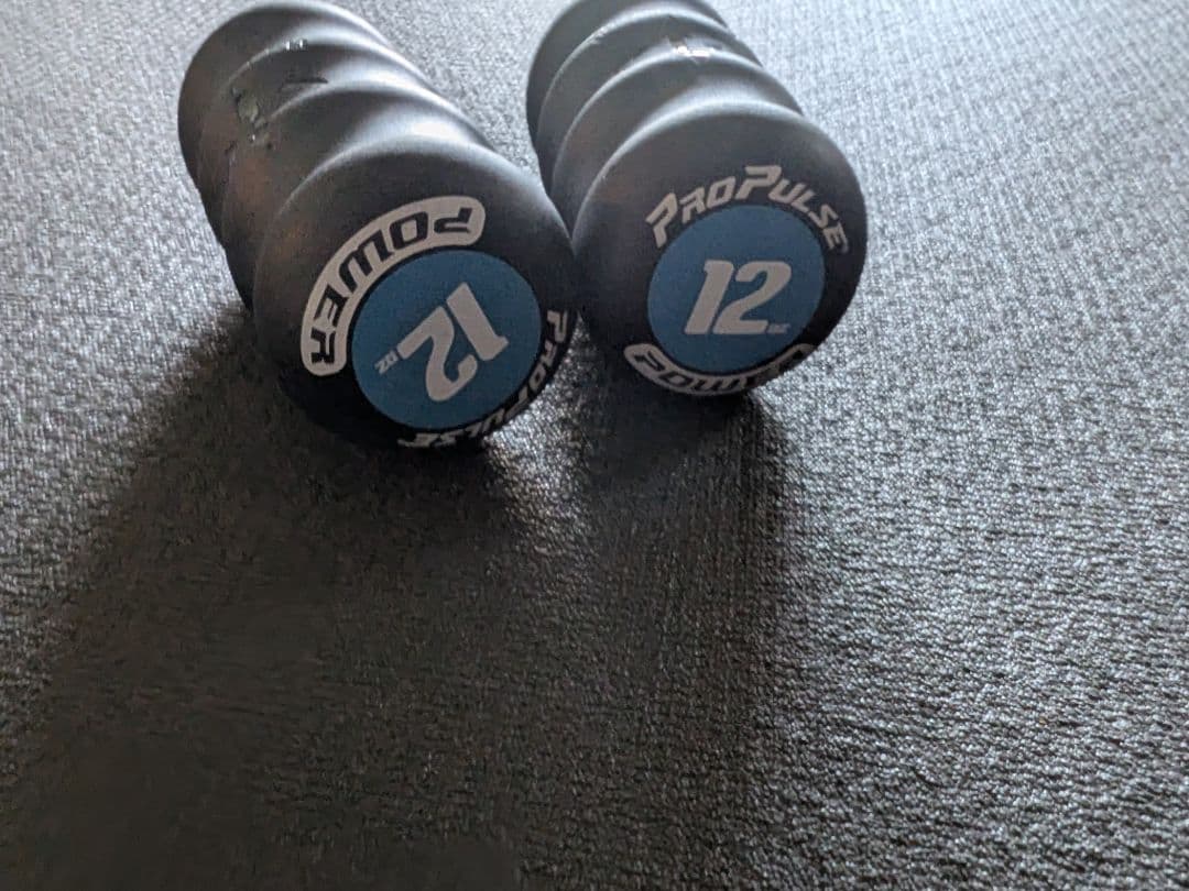 ProPulse 340g 中古 正規品 体幹 リズム 格闘技