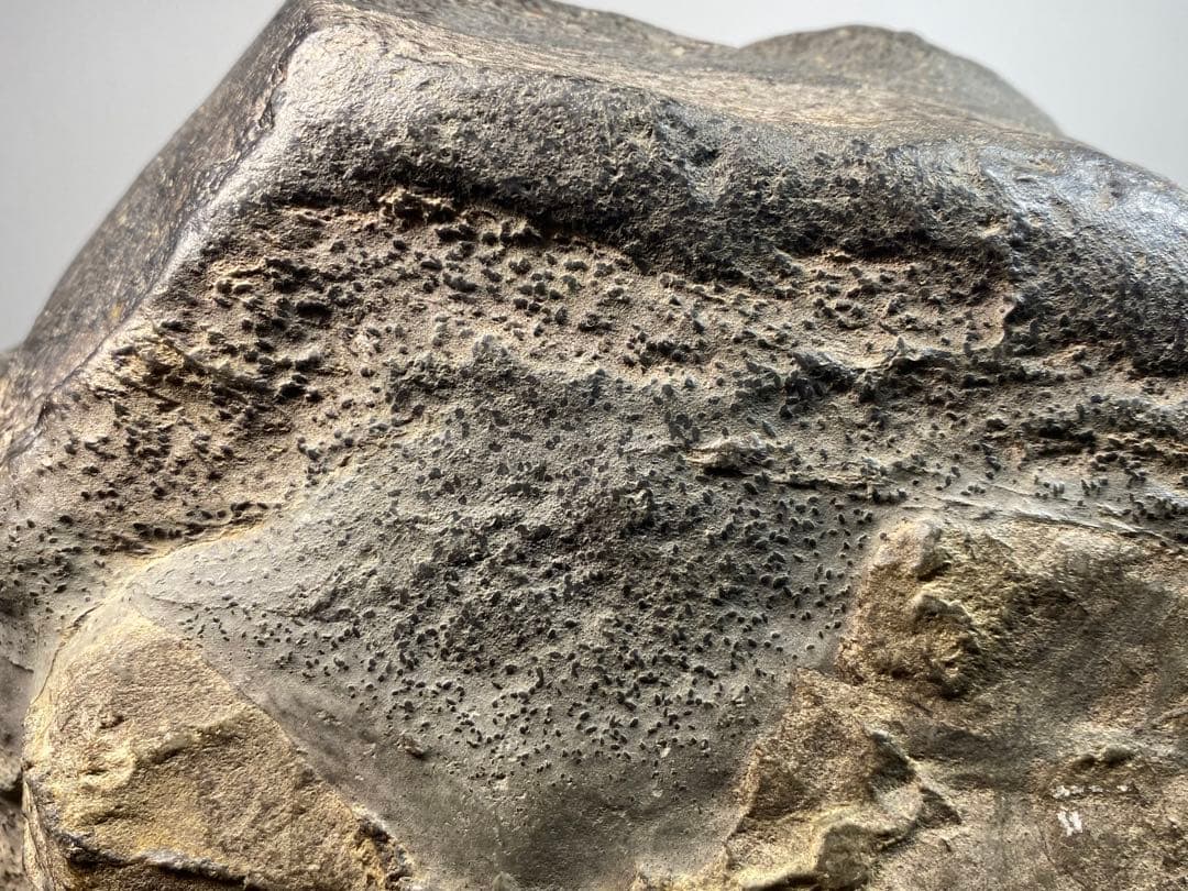 6514瀬田川石 ウブ 水石 盆栽 盆石 置物 鑑賞石 - メルカリ