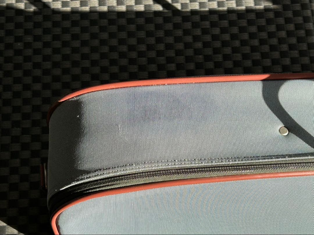 大正琴あゆ　メーカー :スズキ　型番:TES-151