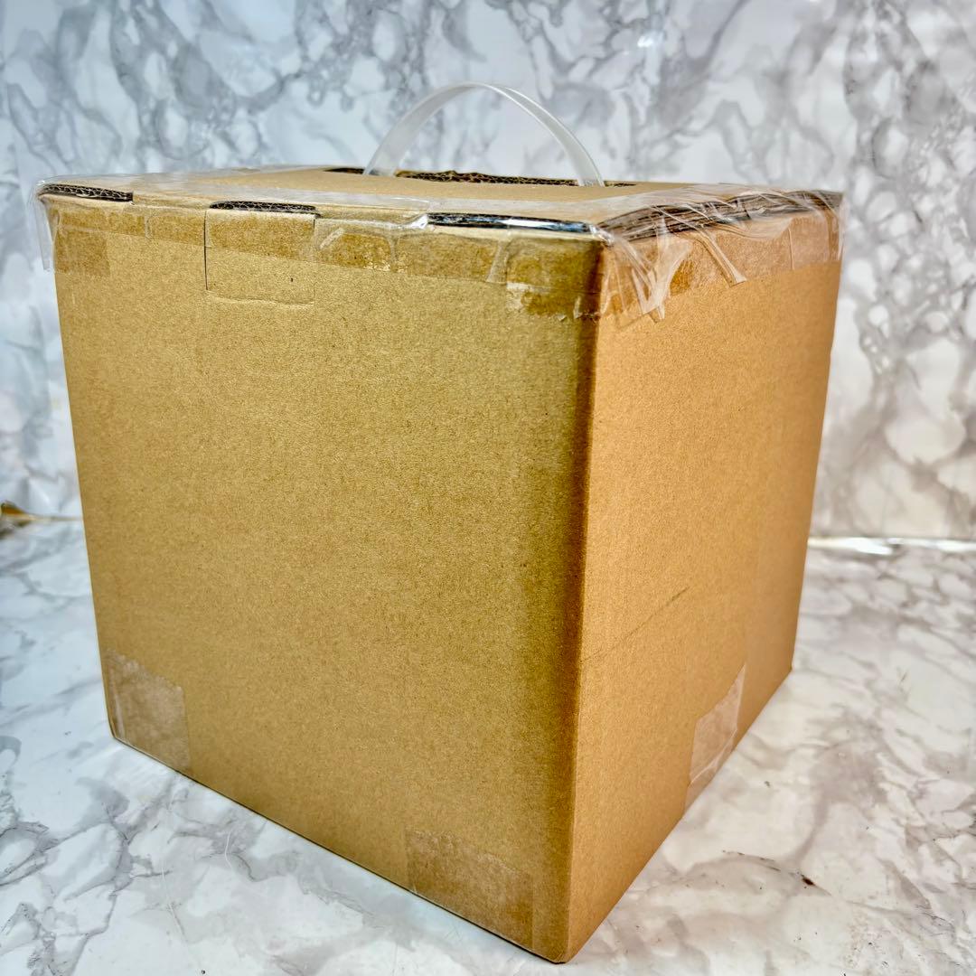 ⭐︎新品未開封⭐︎ エアディスプレイ トリプルオレンジパンプキン