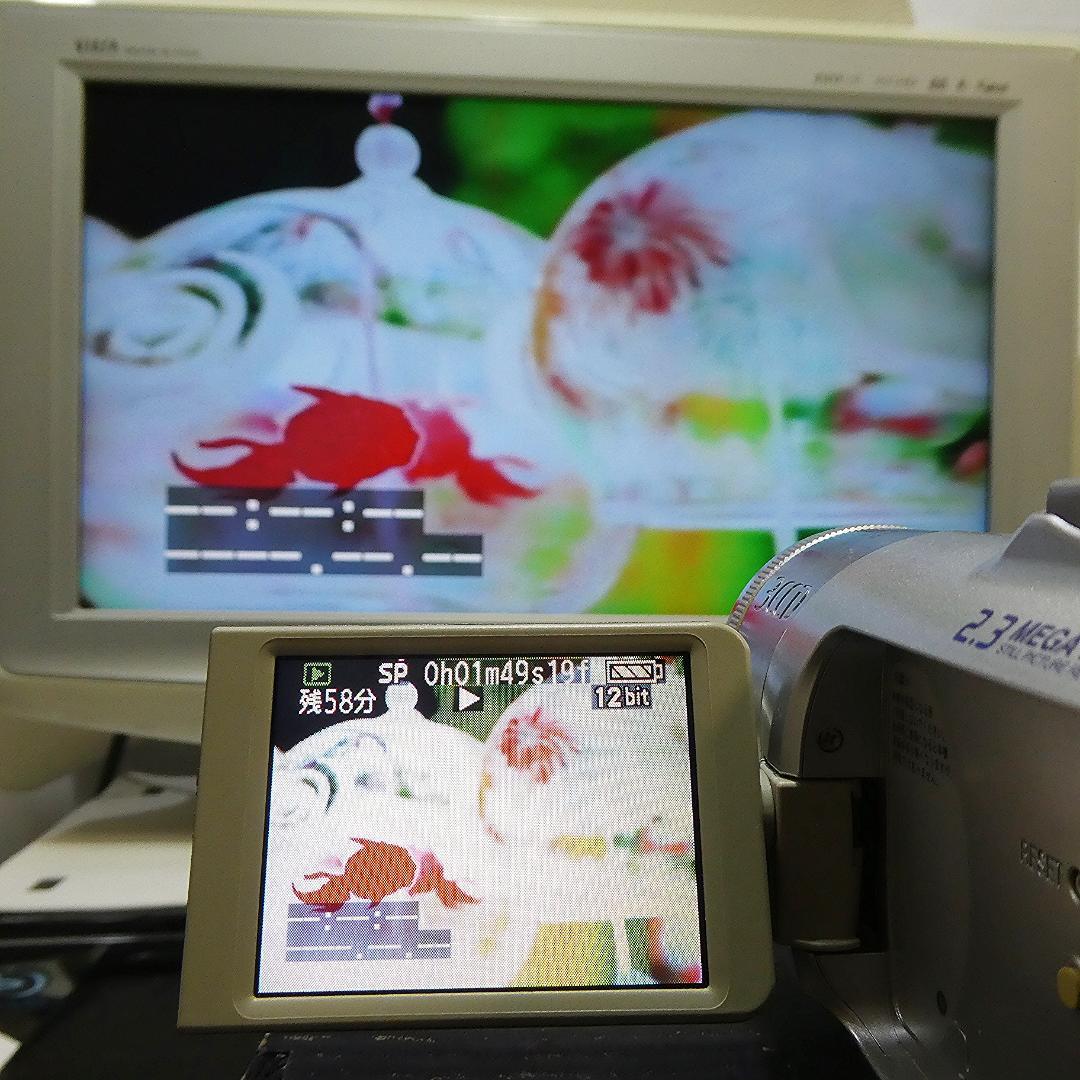 美品・動作良好 パナソニックNV-GS150 MiniDVビデオ DVD化に最適