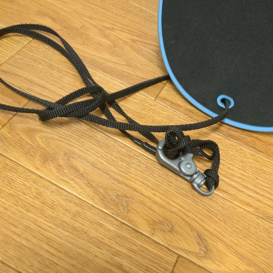 サロモン SALOMON PP3 スノースケート - メルカリ