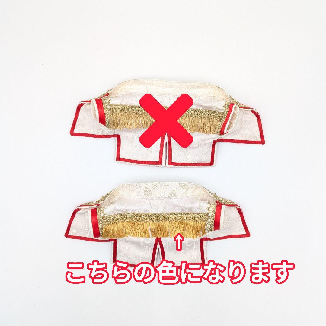 すのチルBIGぬいぐるみ『地球してるぜ』衣装 1着 - メルカリ