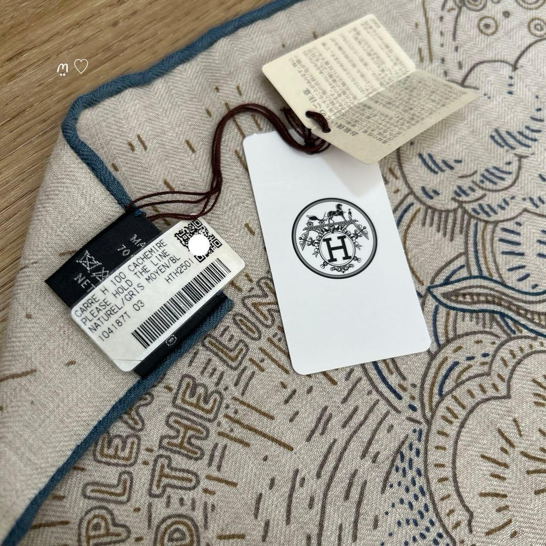 HERMESエルメス カレH100 プリーズホールドザライン カシシル スカーフ