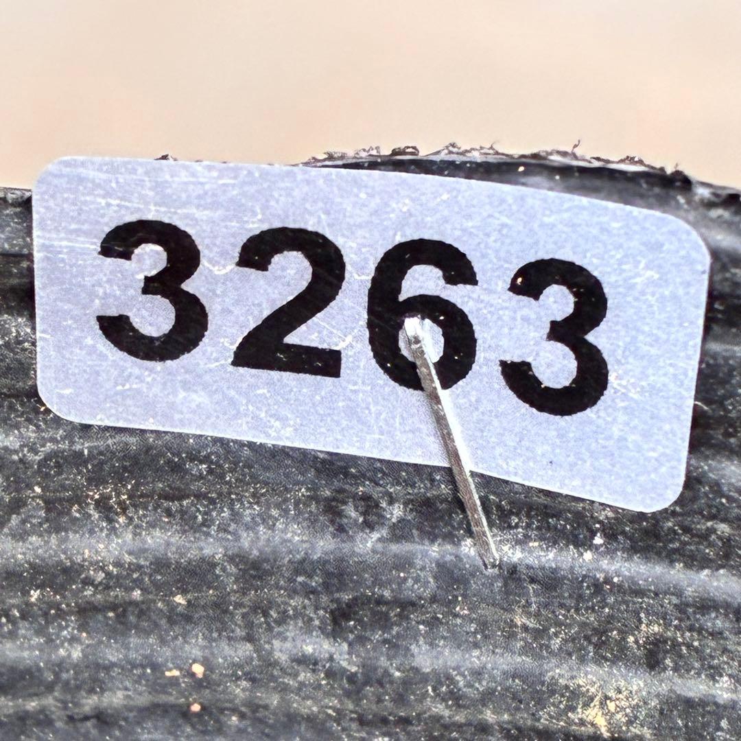 あ*号様 ☘️ラスト2☘️根充実❤️沢山新芽元気株❤️3263⭐️極上美⭐️ソレ