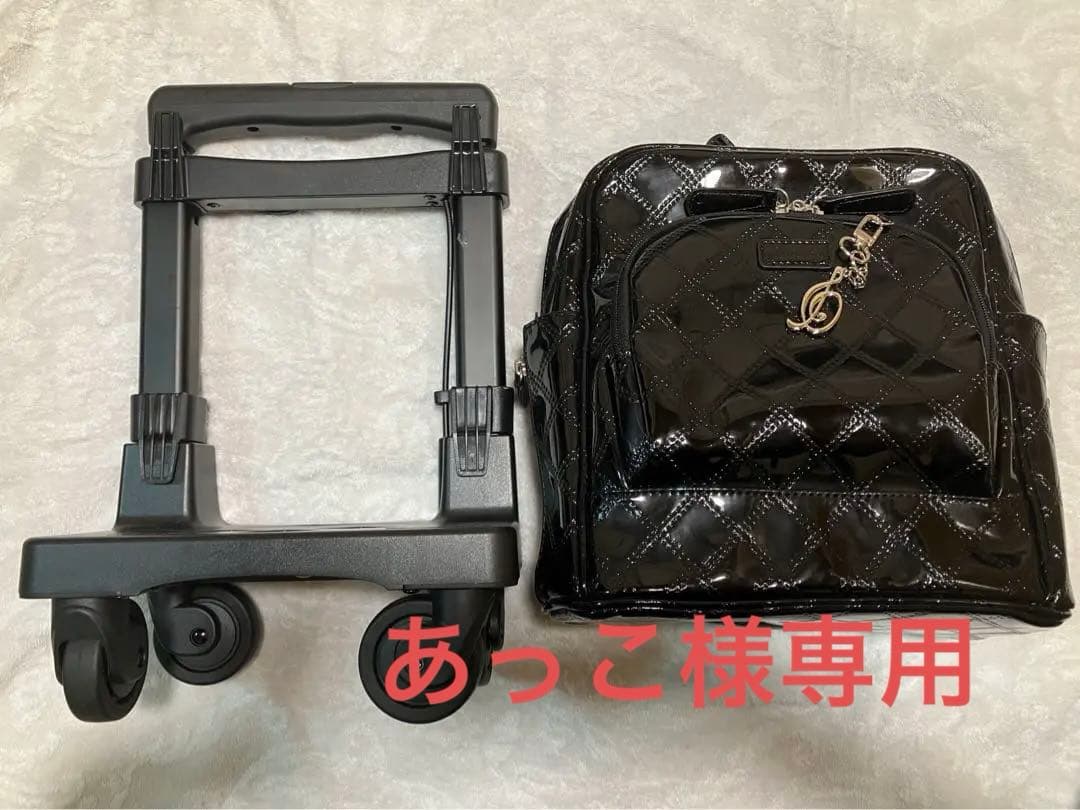 【あっこ】SWANY スワニー　キャリーバッグ(黒) エマイロ　Sサイズ SWANY（スワニー） キャリーバッグ 公式 ショッピングカート キャリー