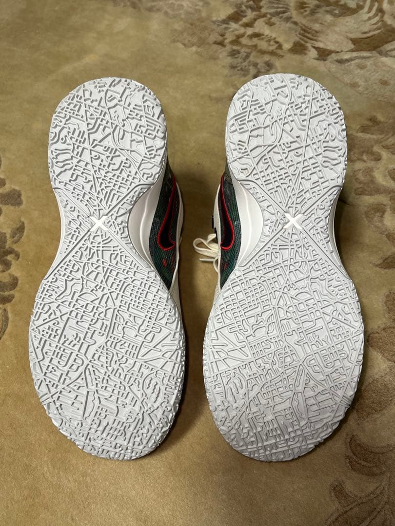 ナイキ レブロン NXXT Gen AMPD EPxフェイズ　27.5cm