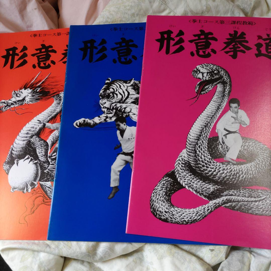 中国拳法大講座（中国拳法通信教育講座）セット - メルカリ